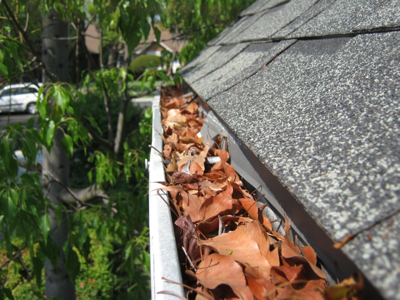 Rain Gutter Cleaners in Richmond, TX 77469